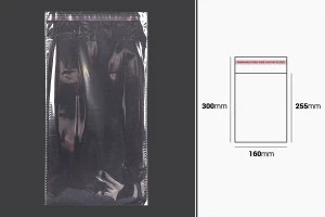 Bustine trasparenti con chiusura autoadesiva 160x300 mm - 1000 pz-2