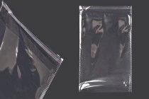 Sachets transparents avec fermeture auto-adhésive 180 x 300 mm - 1000 pcs Sachets transparents avec fermeture auto-adhésive 180 x 300 mm - 1000 pcs