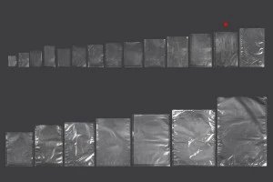 Sacs sous vide (sachets sous vide) pour la conservation - l'emballage des aliments et autres produits 170 x 250 mm - 100 pcs-6