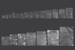 Sacs sous vide (sachets sous vide) pour la conservation - l'emballage des aliments et autres produits 200 x 300 mm - 100 pcs-6