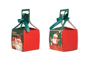 Boîte cadeau de Noël avec poignée et ruban 100 x 100 x 100 mm - 25 pcs-3
