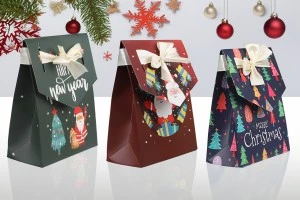 Christmas gift paper bag 115x55x145 mm with ribbon - 10 pcs-5