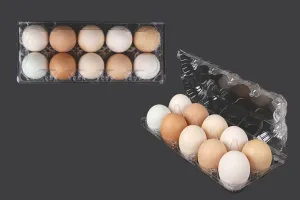 Eierkartons aus Kunststoff 10 Plätze mit den Maßen 238x100x65mm-7