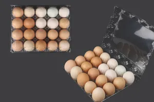 Eierkartons aus Kunststoff 20 Plätze mit den Maßen 240x190x60mm-7
