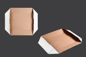 Boîte en papier 295 x 148 x 51 mm-1