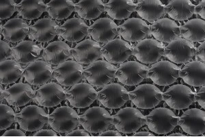 Papier bulle de 30 mm. Se vend par pièce d'une longueur de 18m de long et d'une largeur de 330mm-photo_dimensions