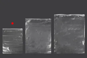 Sachets en plastique avec fermeture éclair 220 x 280 mm, transparents - 50 pcs-6