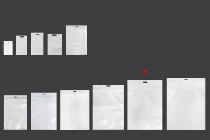 Σακουλάκια πλαστικά με κλείσιμο zip 250x350 mm, λευκή πίσω όψη, διάφανο μπροστά και τρύπα eurohole - 100 τμχ-3