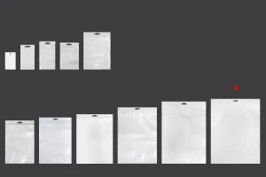 Σακουλάκια πλαστικά με κλείσιμο zip 300x400 mm, λευκή πίσω όψη, διάφανο μπροστά και τρύπα eurohole - 100 τμχ-3