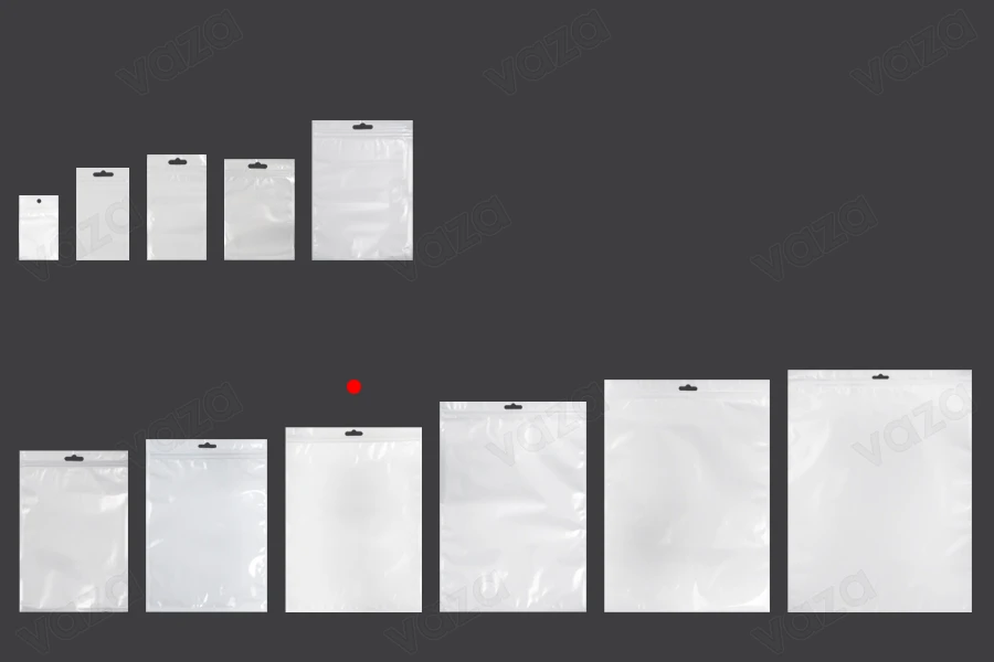 Σακουλάκια πλαστικά με κλείσιμο zip 220x300 mm, λευκή πίσω όψη, διάφανο μπροστά και τρύπα eurohole - 100 τμχ-εικόνα_σύνθεση