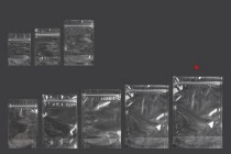 Sacchetti tipo Doy Pack 200x50x295 mm trasparenti con chiusura a zip e possibilità di sigillare con termosaldatura – 100 pz