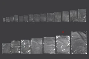 Sacs sous vide (sachets sous vide) pour la conservation - l'emballage des aliments et autres produits 300 x 400 mm - 100 pcs-5