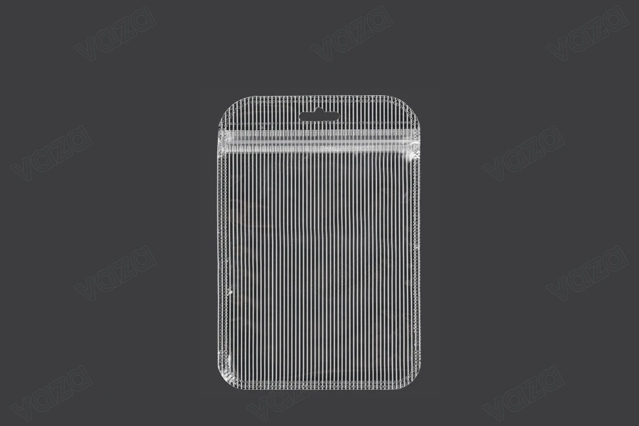 Both side transparent zip lock stripe bags with Eurohole in size 105x150 mm - 100 pcs-image_product