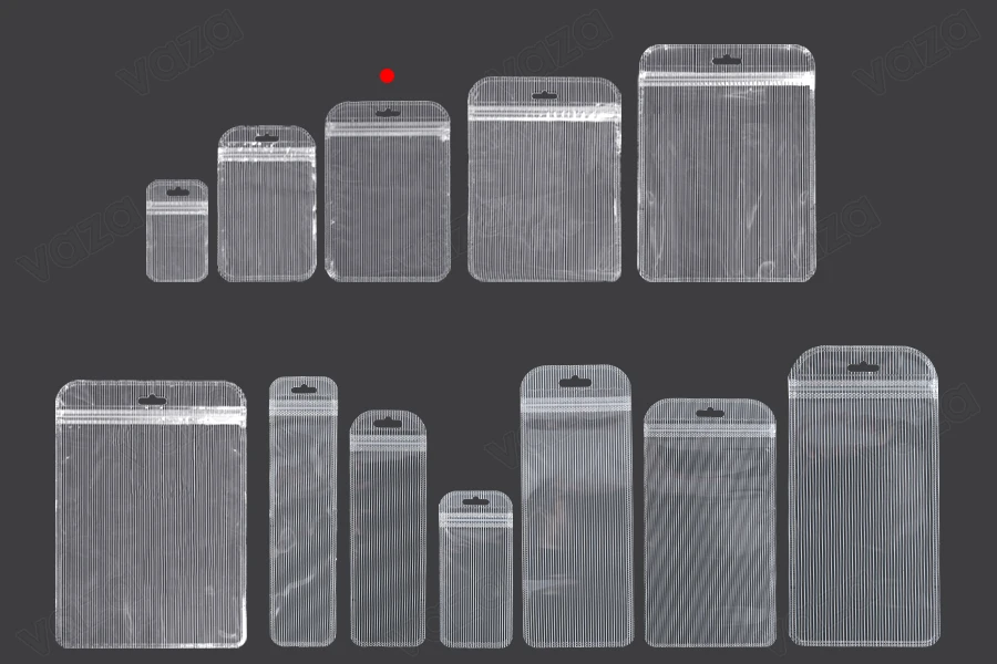 Both side transparent zip lock stripe bags with Eurohole in size 105x150 mm - 100 pcs-image_group