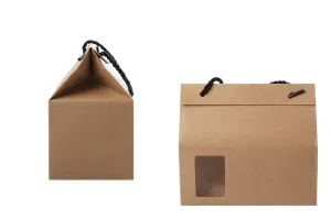 Kraft paper standing-up box-bag with rope handle and window in size 180x100x160 - 12 pcs-2