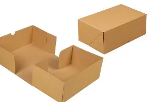 Carton 250x160x100 mm brown 3-sheet - 20 pcs