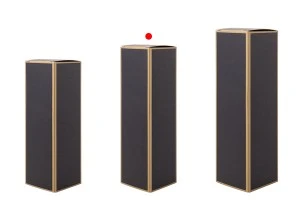 Karton 38x38x136mm mit Goldrand - 20 Stück-5