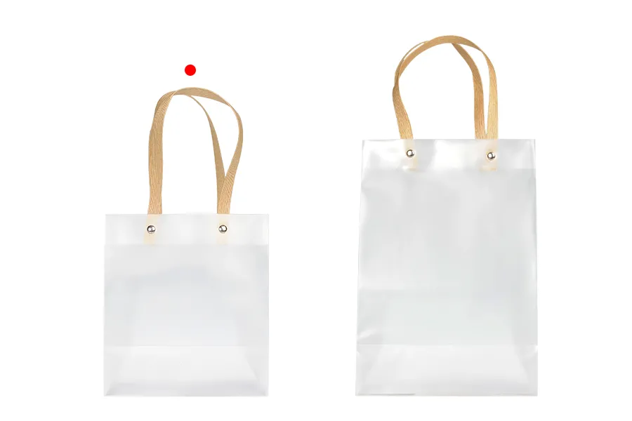 Geschenktüte aus Plastik 160x100x180 mm halb-durchsichtig mit Griff - 12 Stück