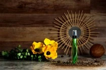 Σωλήνας γυάλινος 50 ml με μαύρο πλαστικό σπρέι για ψεκασμό