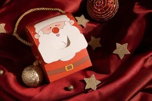Boîte de Noël - sac cadeau avec poignée 100 x 90 x 125 mm - 25 pcs-9