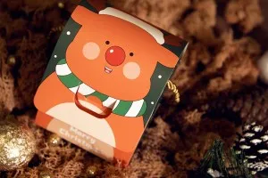 Boîte de Noël - sac cadeau avec poignée 100 x 90 x 125 mm - 25 pcs-11