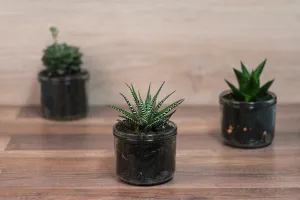Barattolo cilindirco in vetro da 525 ml per la decorazione-3