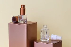 Flacon en verre transparent en forme de cube de 5 ml avec bec verseur PP18-6