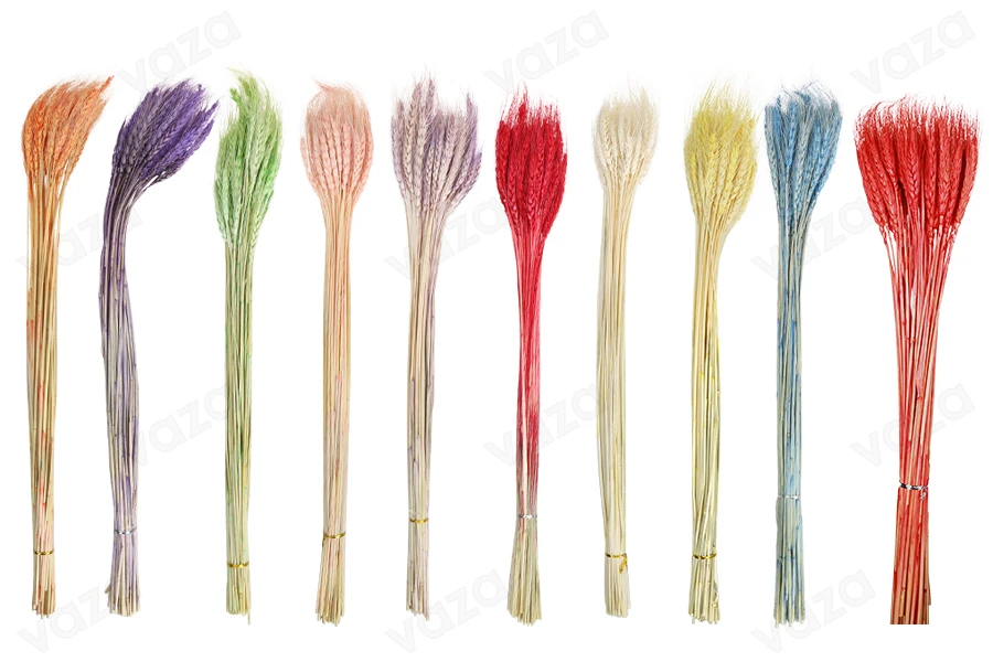 Colorful dried flowers, perfect ornament and decoration idea - 1 bunch (approx. 50 pieces per bunch)-image_product