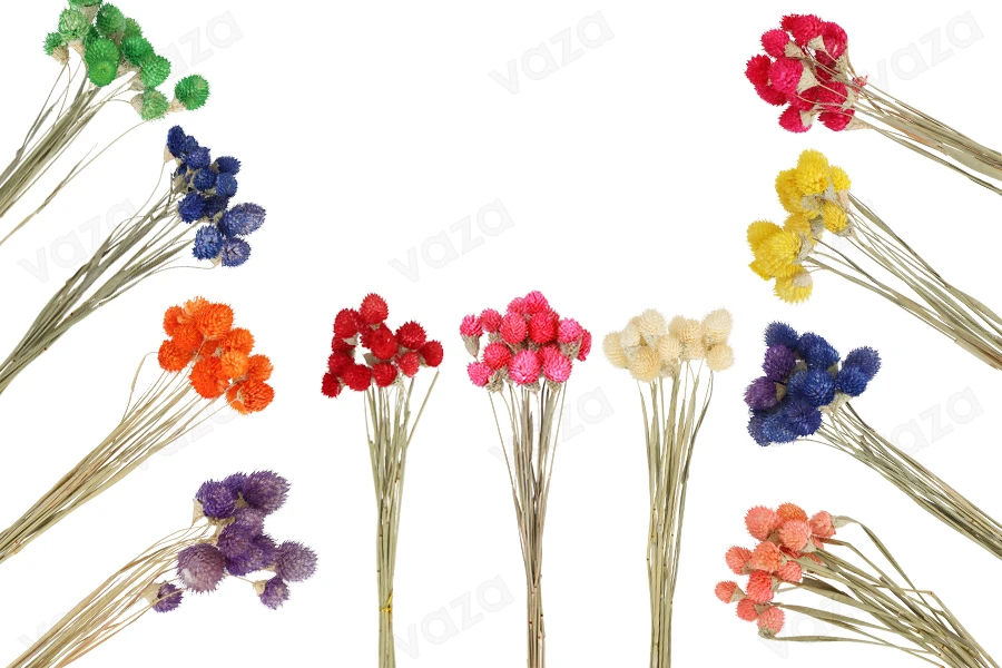 Colorful dried flowers, perfect ornament and decoration idea - 1 bunch (approx. 15 pieces per bunch) Colorful dried flowers, perfect ornament and decoration idea - 1 bunch (approx. 15 pieces per bunch)-image_product
