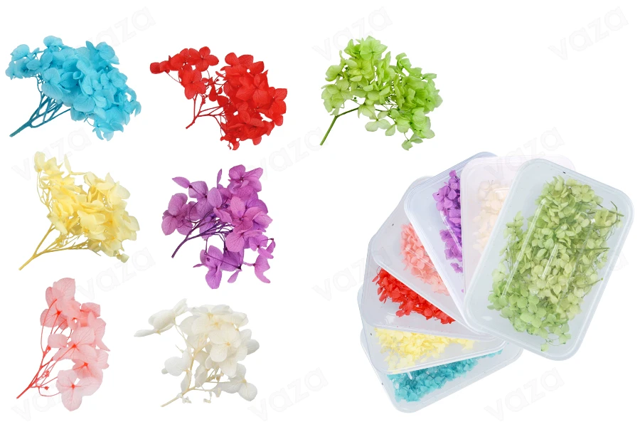 Getrocknete Dekoblumen in verschiedenen Farben - 6 g-produktbild