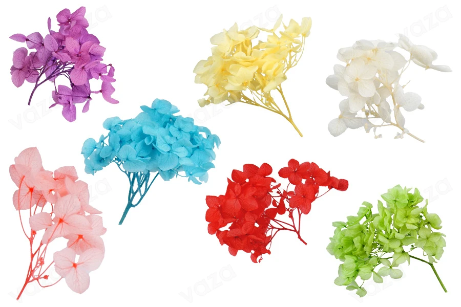 Getrocknete Dekoblumen in verschiedenen Farben - 6 g-bildabmessungen