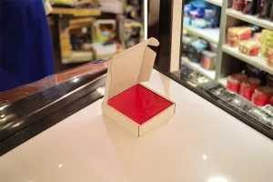Boîte d&#39;emballage en papier kraft sans fenêtre 120x120x30 mm - 20 pcs-5