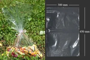 Σακουλάκια διάφανα 300x450 mm για την συσκευασία τροφίμων - 100 τεμάχια-1