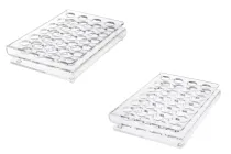 Σταντ (stand) plexiglass 165x120x28 με πόδια σιλικόνης - 24 θέσεων (άνοιγμα τρύπας 17 mm)