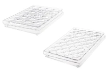 Stand (stand) Plexiglas 190x140x28 - 24 Ablagen (Durchmesser 25 mm) Stand (stand) Plexiglas 190x140x28 - 24 Ablagen (Durchmesser 25 mm)