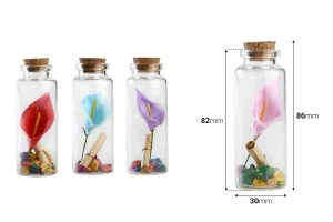 Faveurs de mariage : bouteilles en verre avec bouchon en liège dans une boîte de 12 pièces.-2