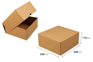 Carton 245x245x115 marron 3 feuilles - 25 pcs-2