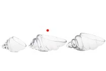 Vase coquillage décoratif en verre 250 mm pour bougies