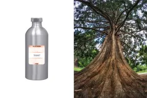 Ανδρικό άρωμα Eau de Parfum 7010017 (1000 ml)-1