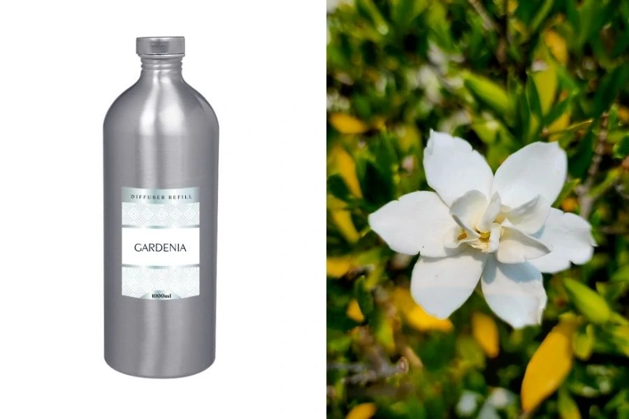 Gardenia Ανταλλακτικό υγρό αρωματικού χώρου 1000 ml Gardenia Ανταλλακτικό υγρό αρωματικού χώρου 1000 ml