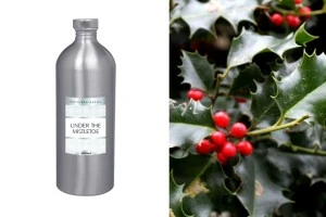 Under the Mistletoe Ανταλλακτικό υγρό αρωματικού χώρου 1000 ml-1