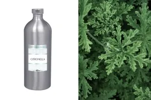 Citronella ricarica profumo ambiente 1000ml