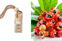 Deodorante per auto al guaranà 4 ml - 5 pezzi-immagine_prodotto