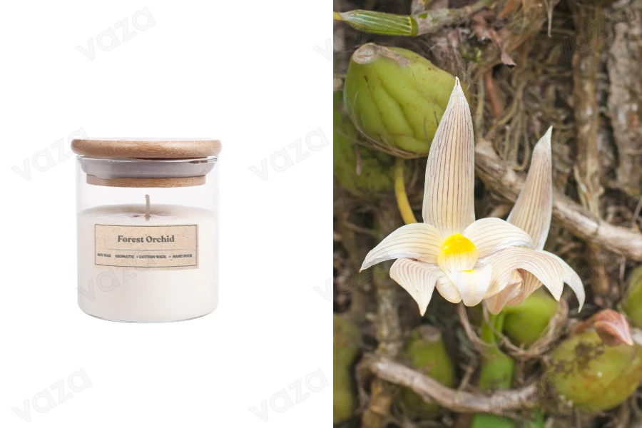 Forest Orchid Aromatic soy candle with wooden wick (110gr) Forest Orchid Aromatic soy candle with wooden wick (110gr)-image_product
