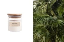Asian Forest Αρωματικό κερί σόγιας με βαμβακερό φυτίλι (110gr) Asian Forest Αρωματικό κερί σόγιας με βαμβακερό φυτίλι (110gr)