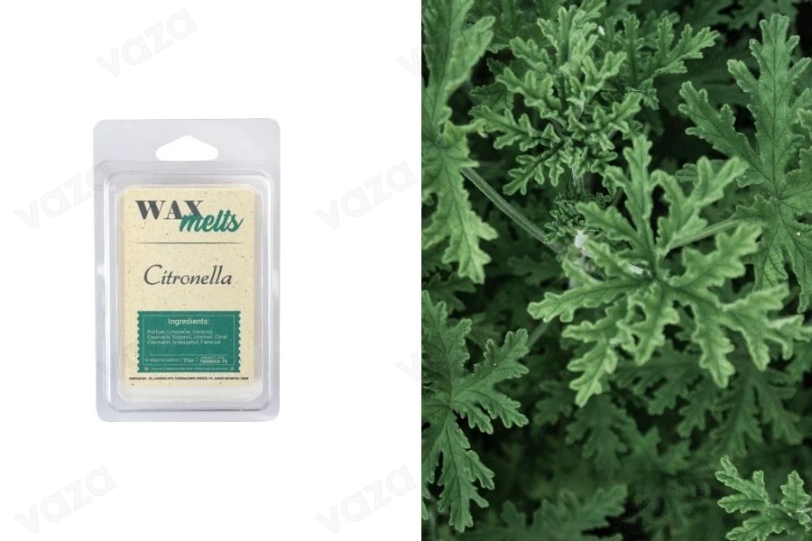 Wax melts με άρωμα Citronella (75gr) Wax melts με άρωμα Citronella (75gr)-εικόνα_προϊοντική