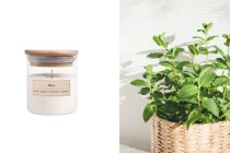 Mint Qiri aromatike soje me fitil druri (110gr) Mint Qiri aromatike soje me fitil druri (110gr)-imazh_produkt