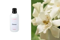 Γαρδένια Αρωματικό έλαιο 100 ml Γαρδένια Αρωματικό έλαιο 100 ml-εικόνα_προϊοντική
