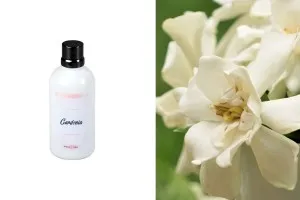 Gardenia Huile parfumée de 100 ml-1