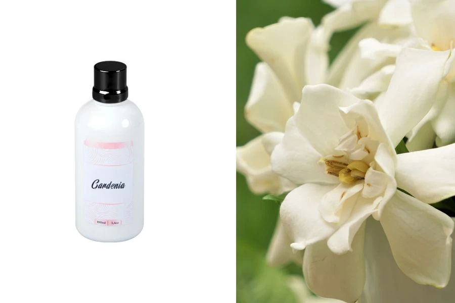 Gardenia Olio profumato 100 ml